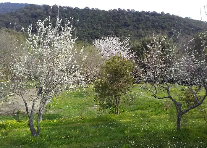 Riverside In Folelli *