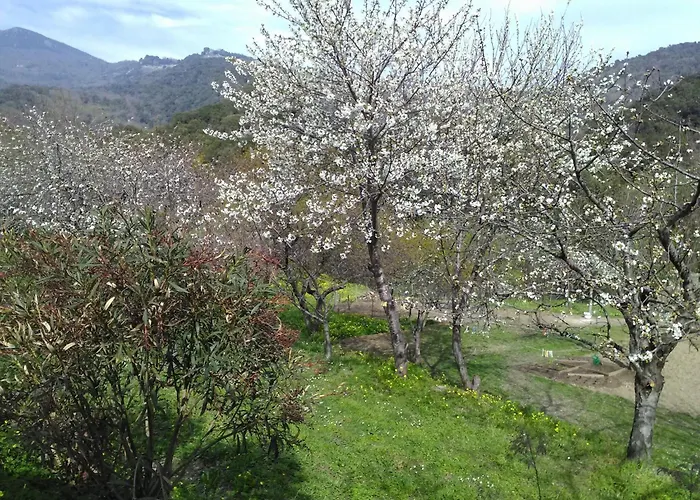 Riverside In Folelli * Penta di Casinca