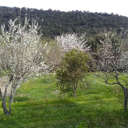 Tranquil In Corsica With Terrace Nyaraló