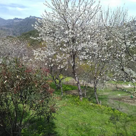 Tranquil In Corsica With Terrace Penta di Casinca